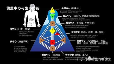 人類圖怎麼看|如何看懂人类图：解释与定义